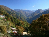 gallery_y_img05