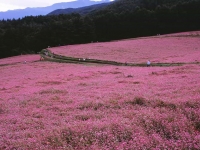 gallery_y_img07