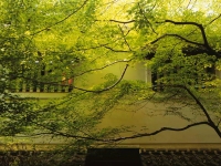 gallery_y_img09