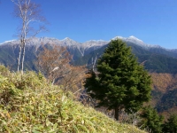 gallery_y_img10