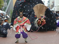 gallery_y_img14