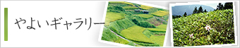 やよいギャラリー