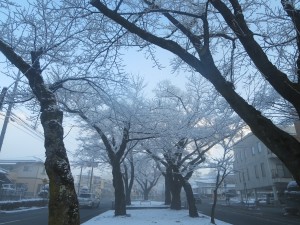 IMG_3653