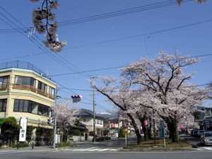 ふるさとプランイメージ写真