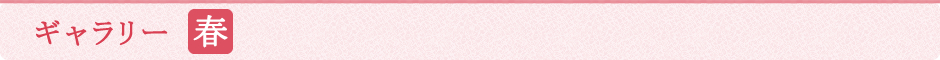 gallery_haru
