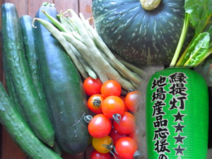 みどり提灯